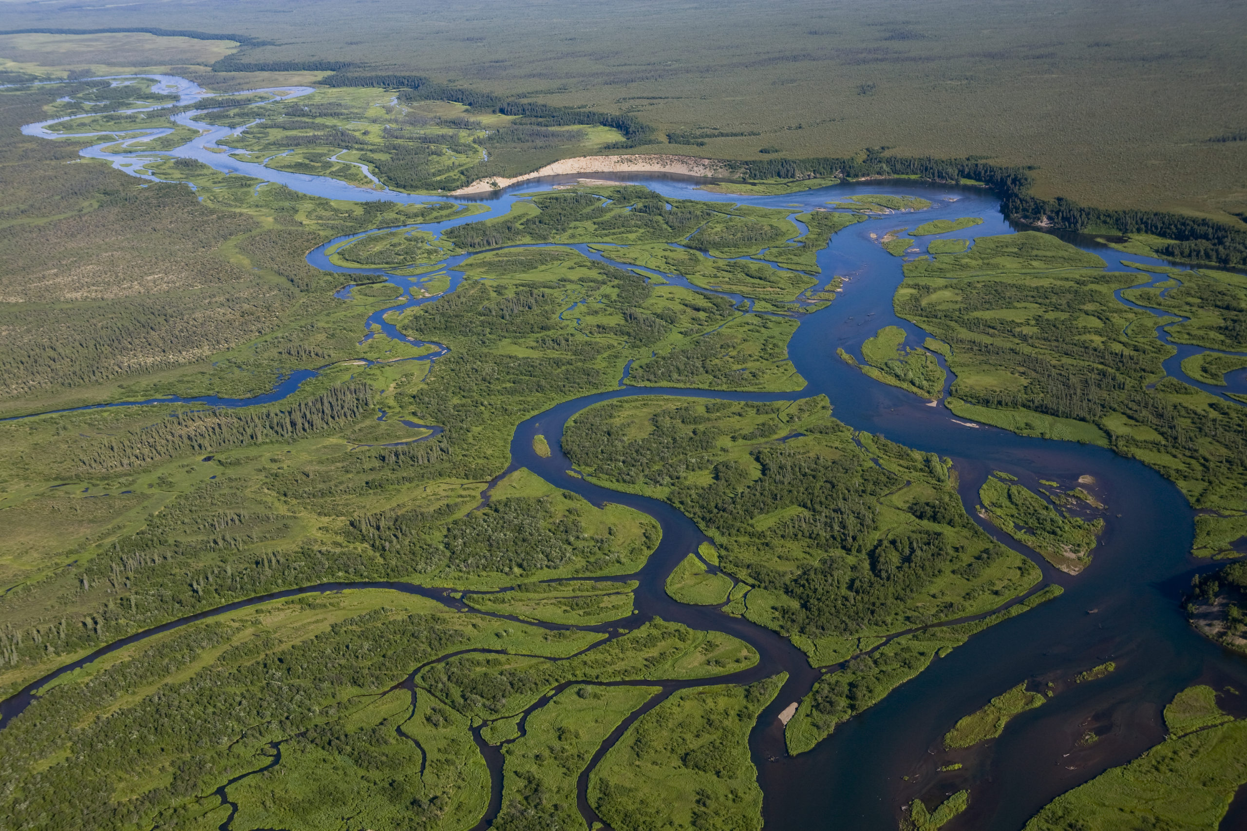 Студенты изучают уникальные экосистемы ненарушенной тайги. Речная экосистема. Лотические экосистемы. Пресная водная экосистема. Биогеоценоз реки.