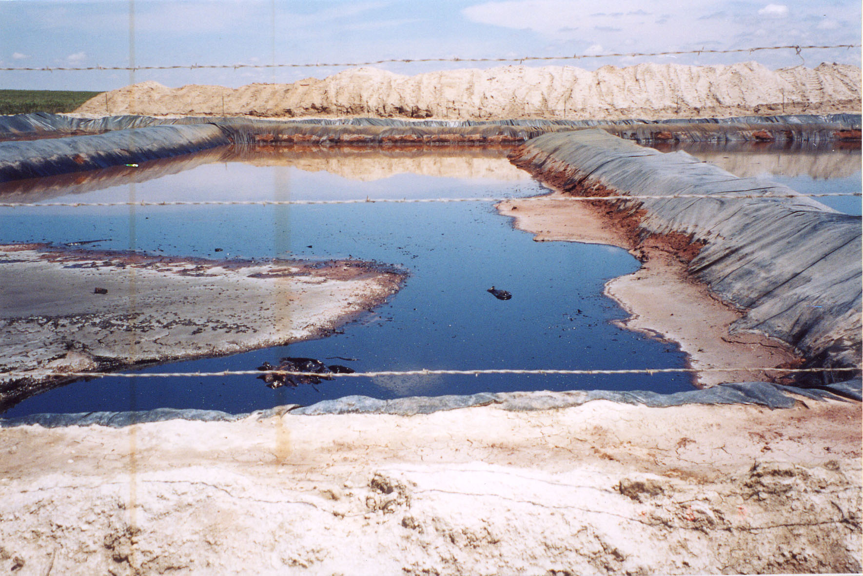 No netting on oily pit in SE New Mexico.  Photo credit: Carl Johnson