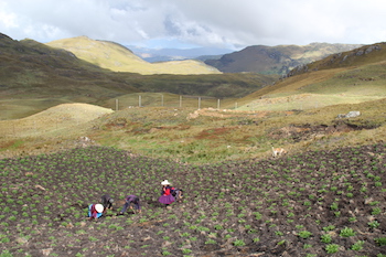 Máxima's land in Peru. Photo: Goldman Prize