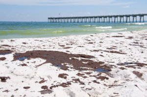 Oil covered beach