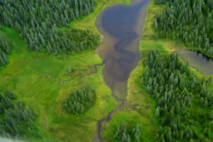 Aerial shot of Unuk River